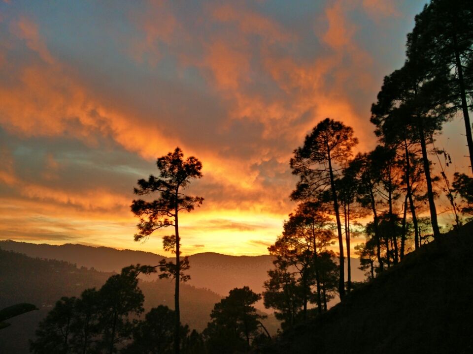 Photo of Ranikhet – In the lap of Kumaon's pine forests 26/27 by Akshay Rajagopalan 