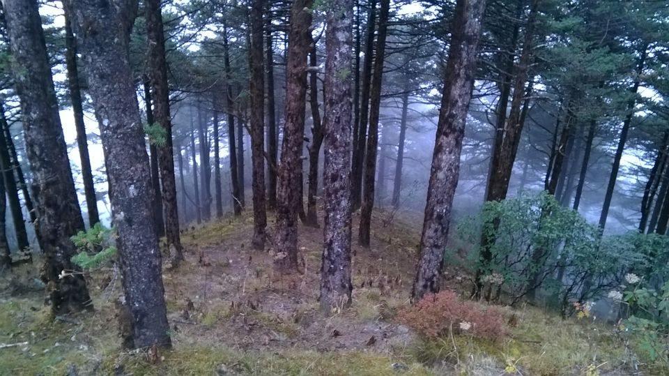 Photo of Kanchanjunga's magic... by APURBA DAS