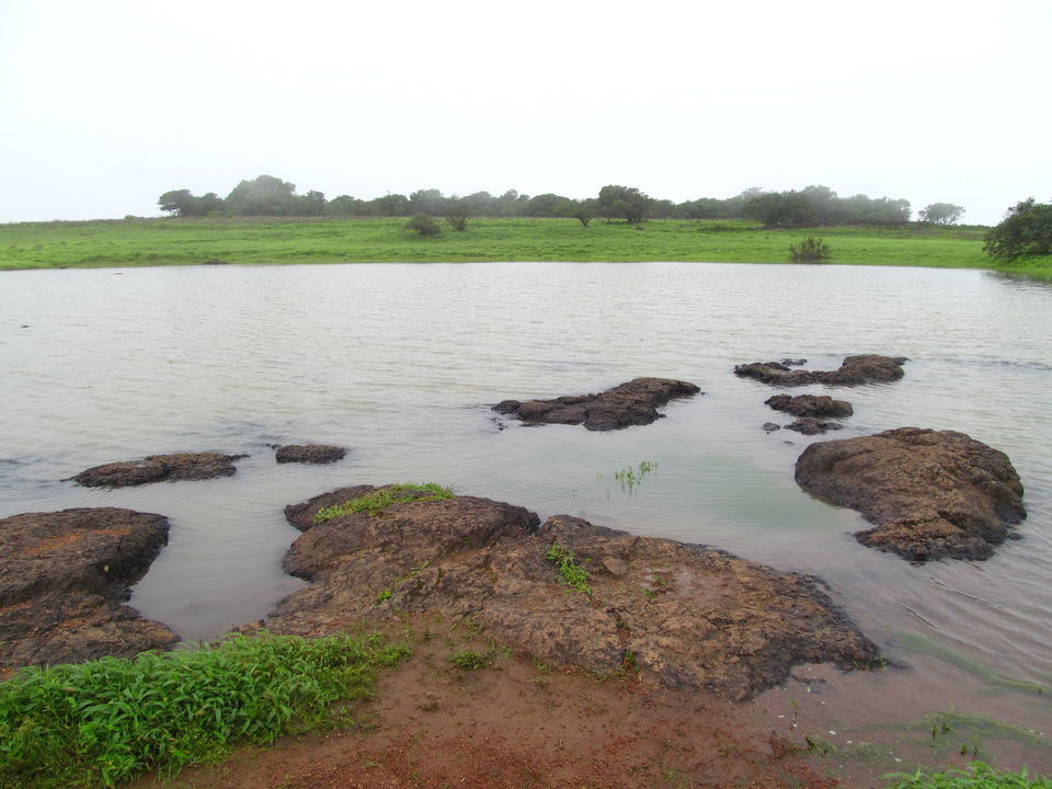 Photo of Plateau of Flowers...Kaas by APURBA DAS