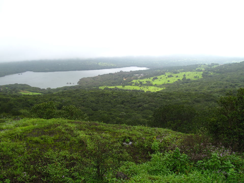 Photo of Plateau of Flowers...Kaas by APURBA DAS