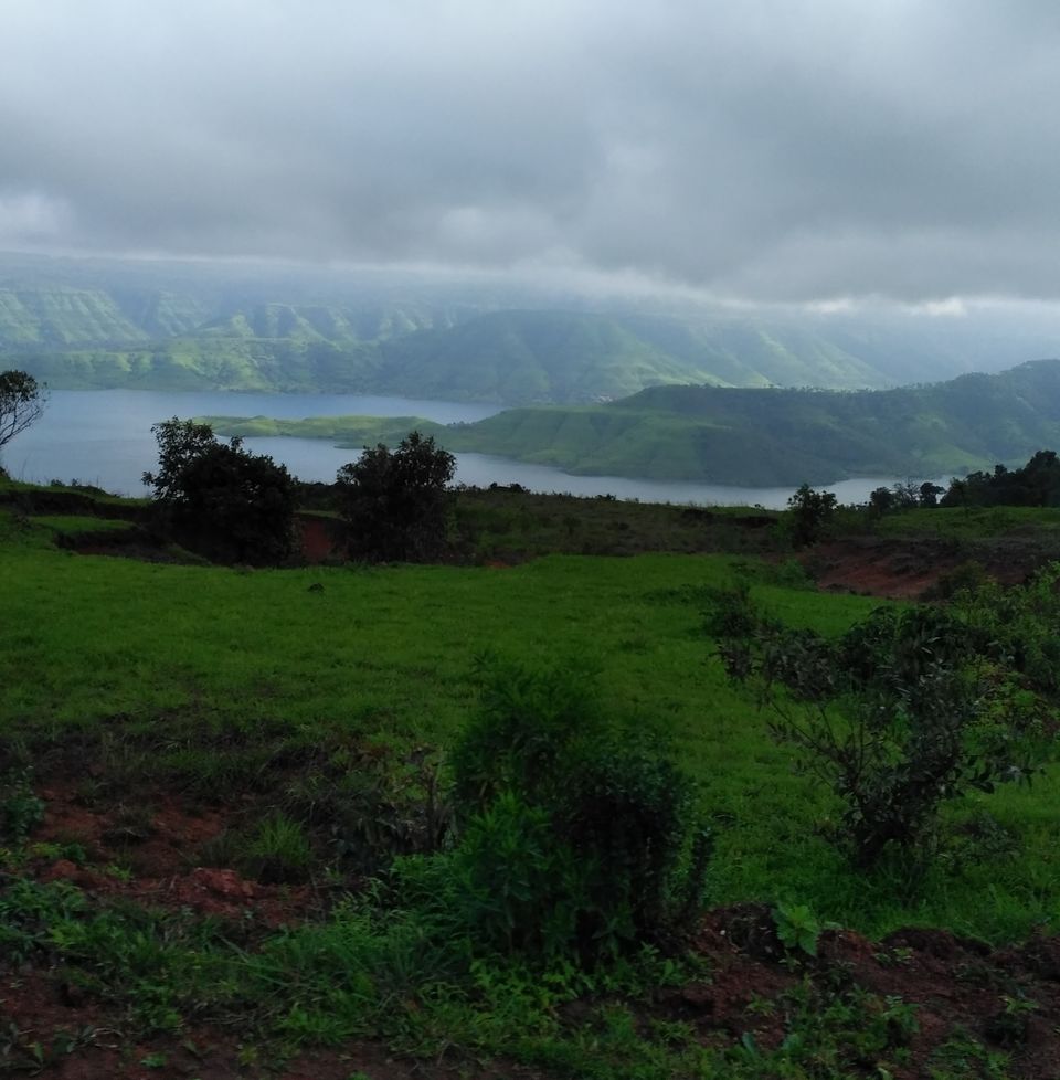 Photo of Kaas Plateau of Flowers, Satara, Maharashtra, India by APURBA DAS