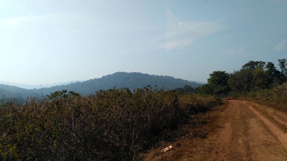 Photo of Head to Similipal....for waterfall, mountain, forest and wilderness by APURBA DAS