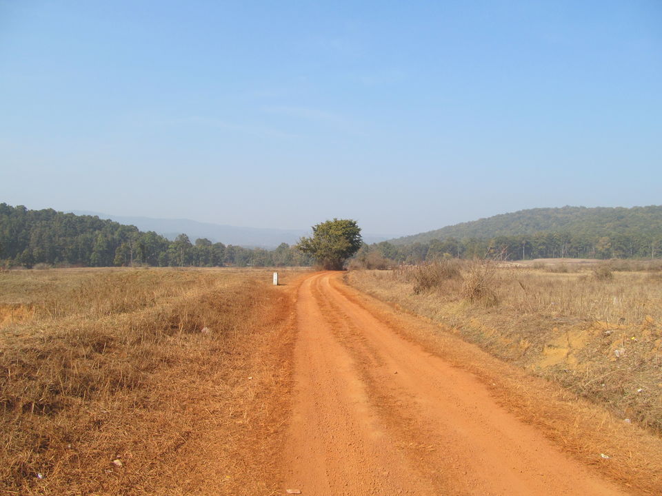 Photo of Head to Similipal....for waterfall, mountain, forest and wilderness by APURBA DAS