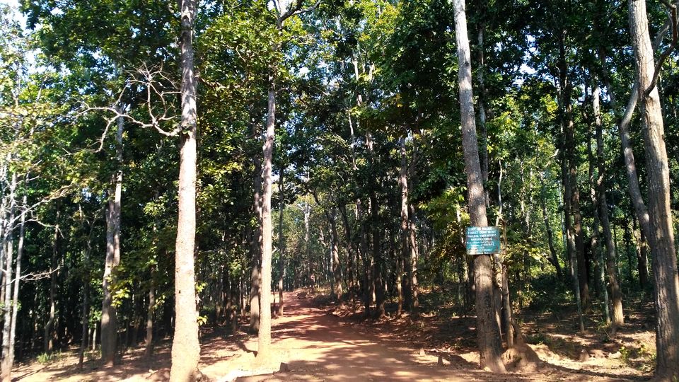 Photo of Head to Similipal....for waterfall, mountain, forest and wilderness by APURBA DAS