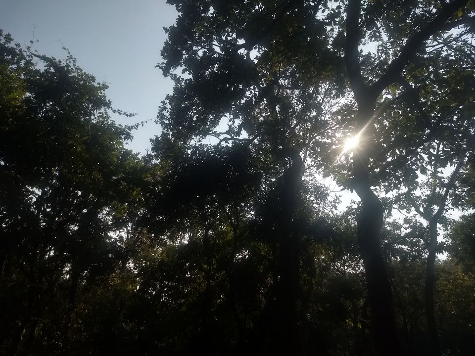 Photo of Head to Similipal....for waterfall, mountain, forest and wilderness by APURBA DAS