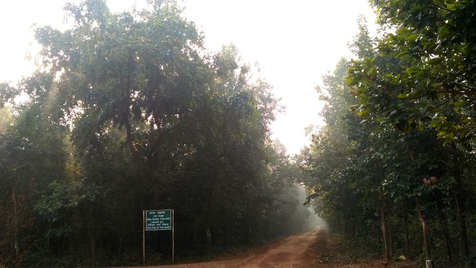 Photo of Head to Similipal....for waterfall, mountain, forest and wilderness by APURBA DAS