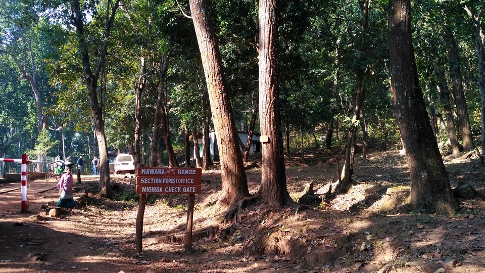 Photo of Head to Similipal....for waterfall, mountain, forest and wilderness by APURBA DAS
