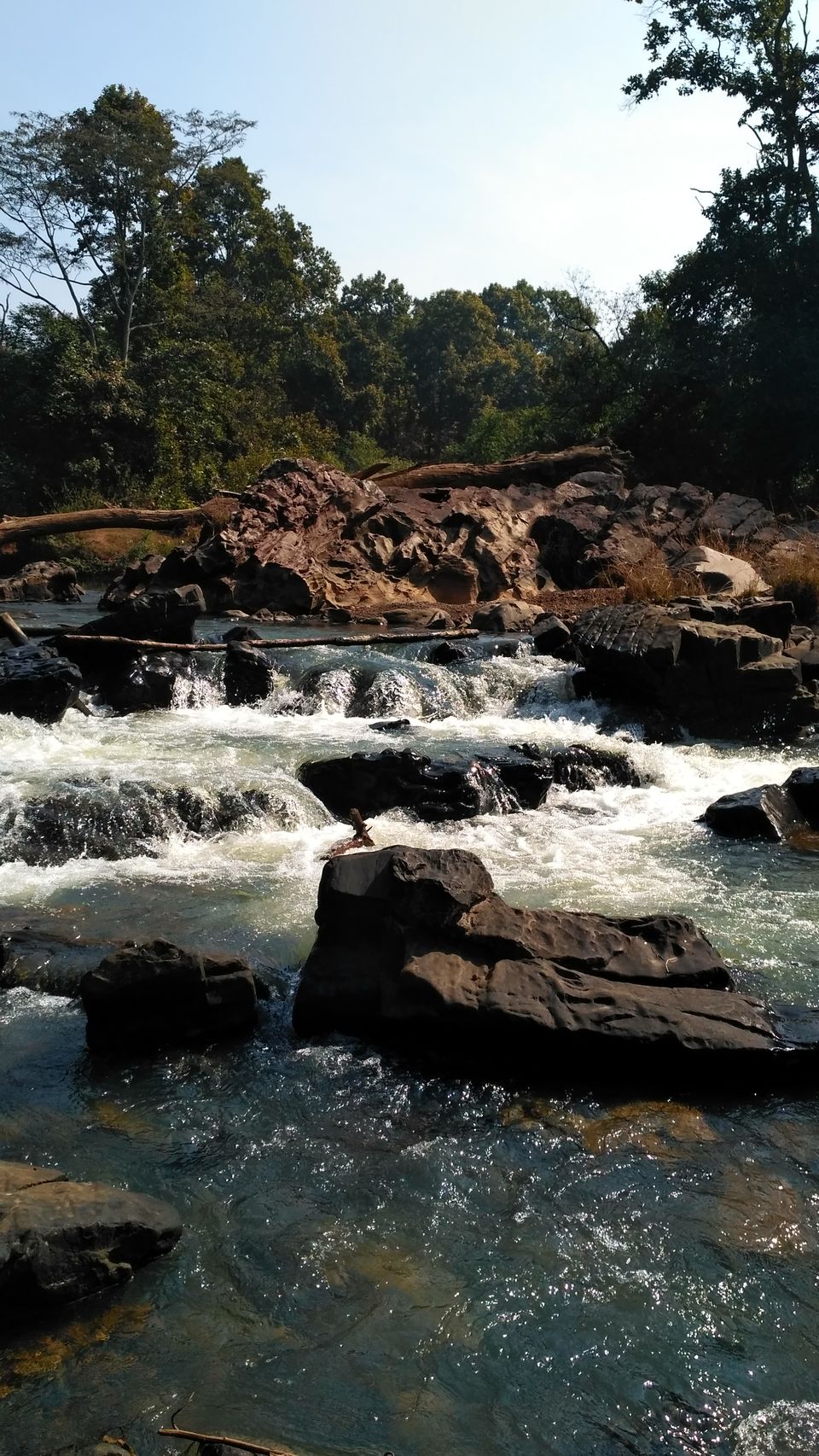 Photo of Head to Similipal....for waterfall, mountain, forest and wilderness by APURBA DAS
