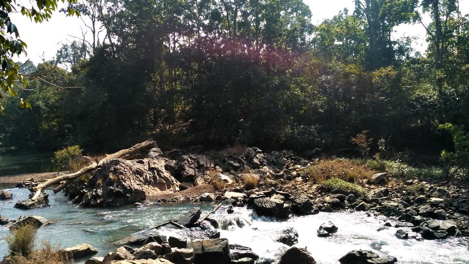 Photo of Head to Similipal....for waterfall, mountain, forest and wilderness by APURBA DAS