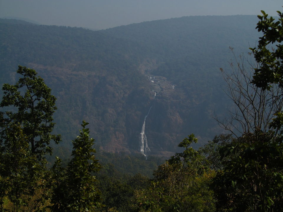 Photo of Head to Similipal....for waterfall, mountain, forest and wilderness by APURBA DAS
