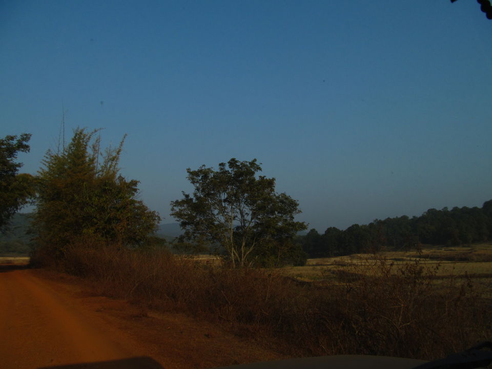 Photo of Head to Similipal....for waterfall, mountain, forest and wilderness by APURBA DAS