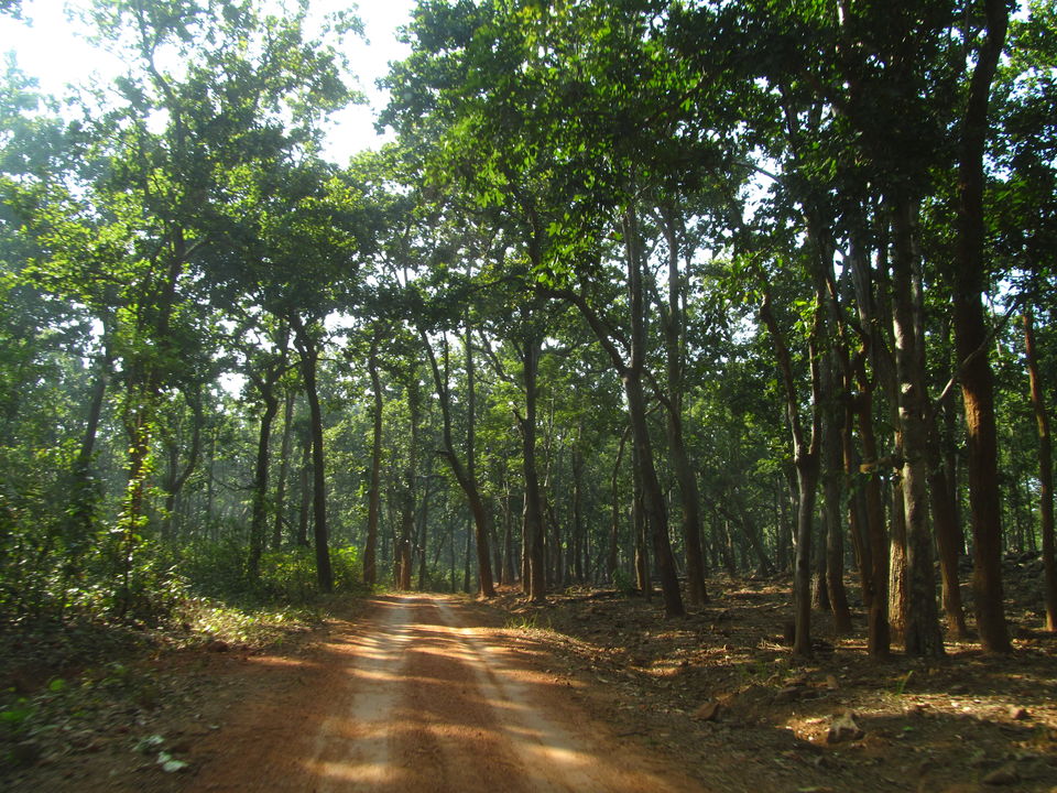 Photo of Head to Similipal....for waterfall, mountain, forest and wilderness by APURBA DAS
