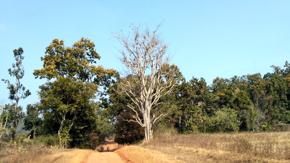 Photo of Head to Similipal....for waterfall, mountain, forest and wilderness by APURBA DAS