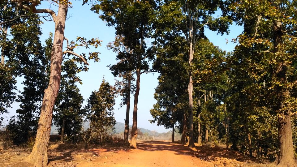 Photo of Head to Similipal....for waterfall, mountain, forest and wilderness by APURBA DAS