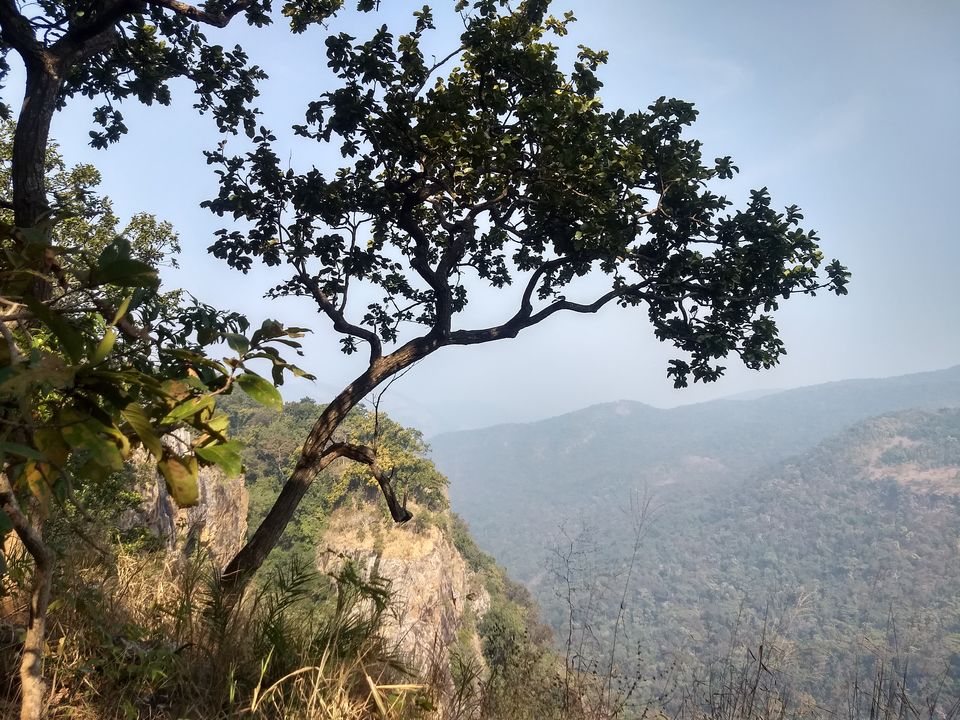 Photo of Head to Similipal....for waterfall, mountain, forest and wilderness by APURBA DAS