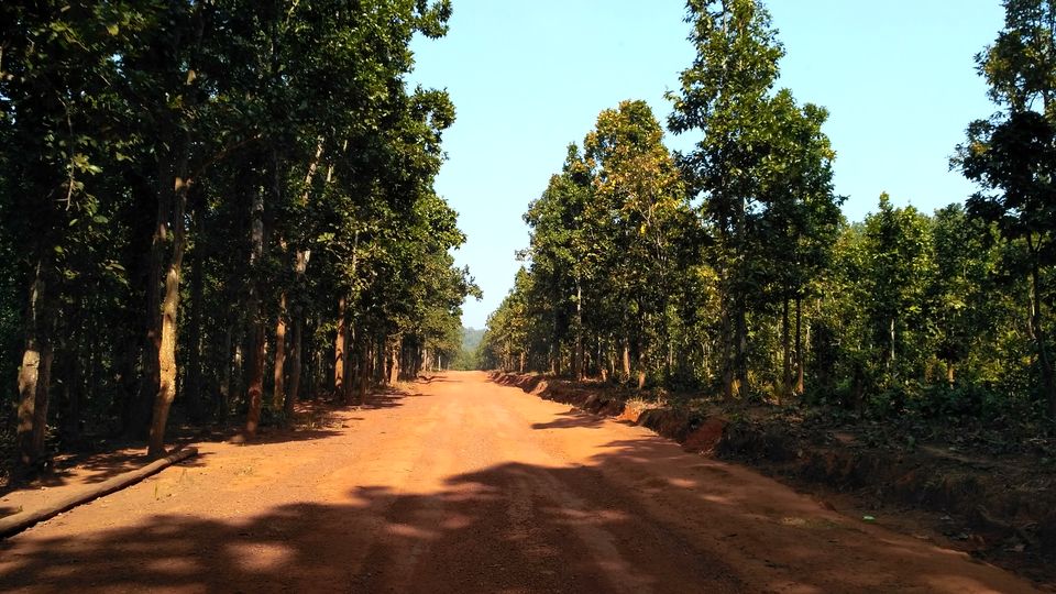 Photo of Head to Similipal....for waterfall, mountain, forest and wilderness by APURBA DAS