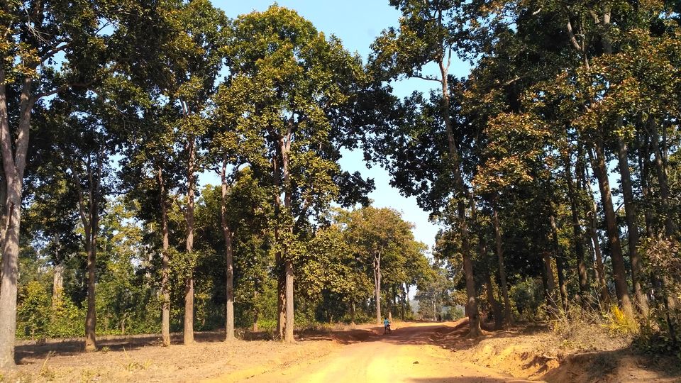 Photo of Head to Similipal....for waterfall, mountain, forest and wilderness by APURBA DAS