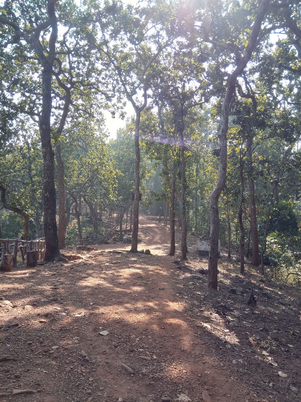 Photo of Head to Similipal....for waterfall, mountain, forest and wilderness by APURBA DAS