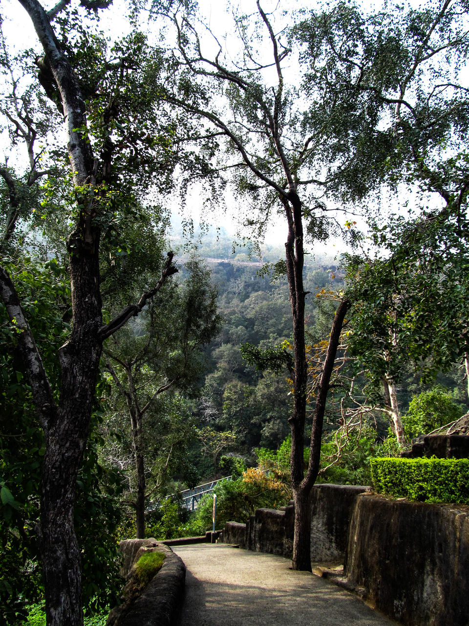 Photo of Ajanta Caves, Maharashtra, India by APURBA DAS