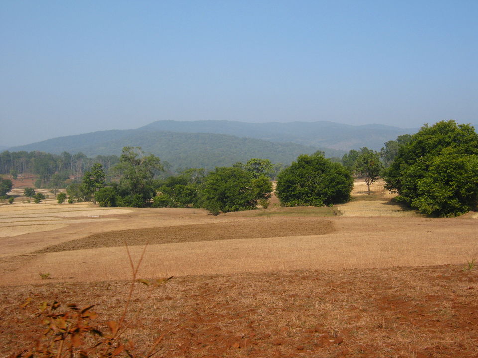 Photo of Odisha: Serene and sublime - Part 2 by Ayushman Dash