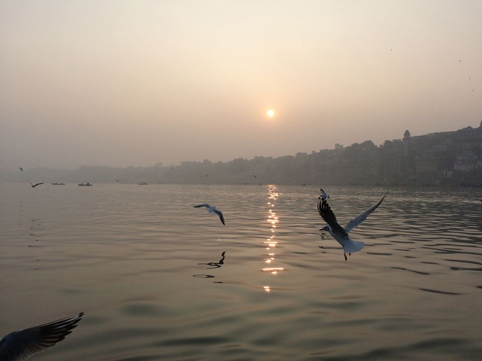 Photo of Varanasi–Sarnath – Tranquility, culture, history all rolled into one 6/15 by Ayushman Dash