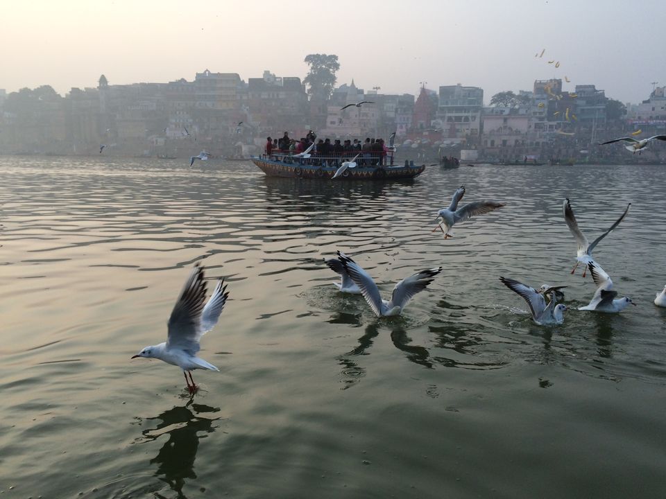 Photo of Varanasi–Sarnath – Tranquility, culture, history all rolled into one 14/15 by Ayushman Dash