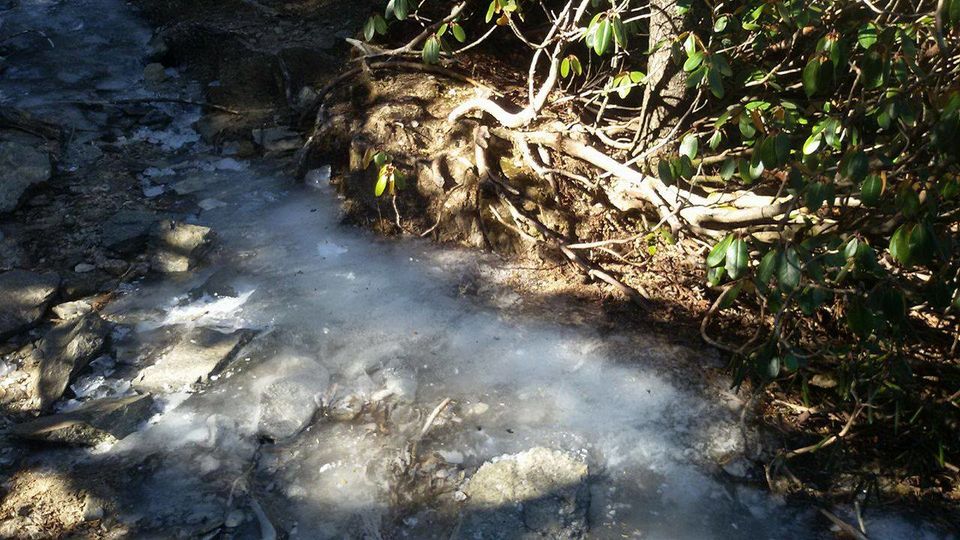Photo of The kedarkantha trek 5/8 by Ramyani Biswas