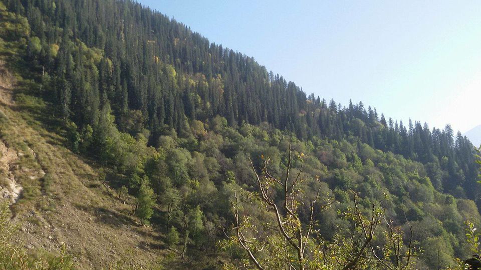 Photo of Kheerganga Camping, Shimla, India by Ramyani Biswas