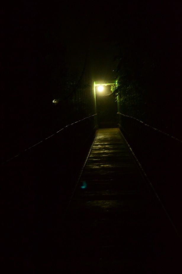 Photo of Nisargadhama, Kodagu, Karnataka, India by Sritama Halder