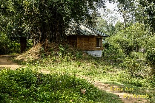 Photo of Nisargadhama, Kodagu, Karnataka, India by Sritama Halder