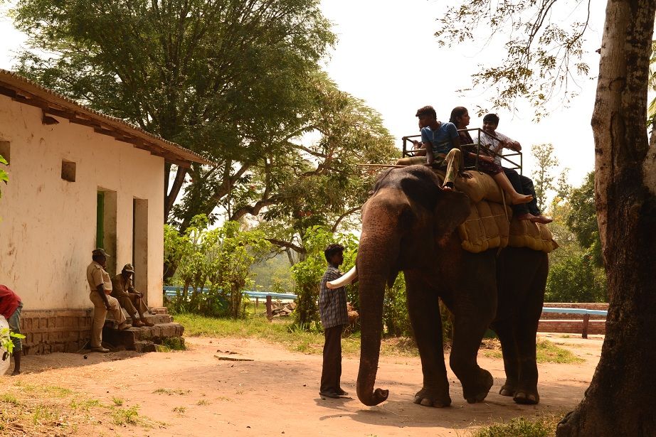 Photo of Dubare Elephant Camp,Rafting, Karadigodu, Karnataka, India by Sritama Halder