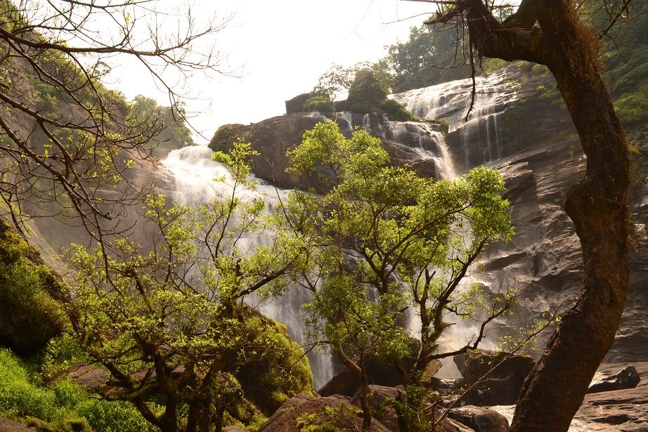 Photo of Mallalli Water Falls, Kumaralli, Karnataka, India by Sritama Halder