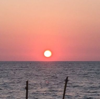 Photo of Kovalam, Trivandrum, Kerala, India by Urvashi Sharma