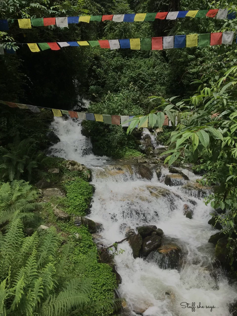 Photo of Ulleri, Pokhara, Nepal by kriti arora
