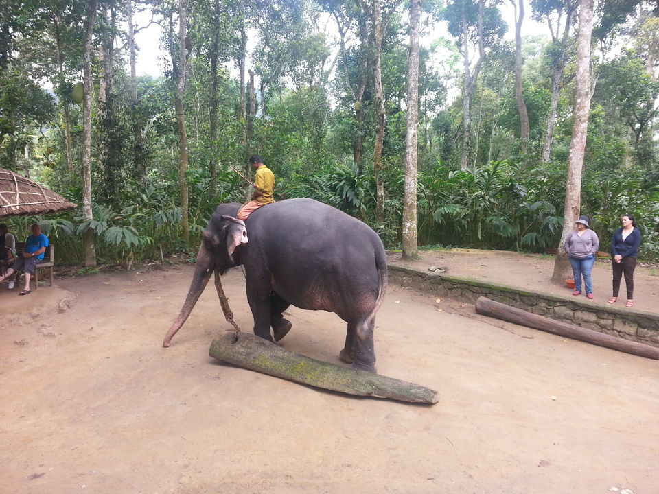 Photo of Thekkady, Kerala, India by RACHNA SINGH