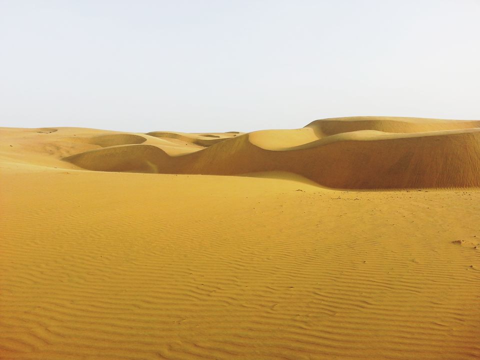 Photo of DESERT NIGHTS in INDIA! by RACHNA SINGH