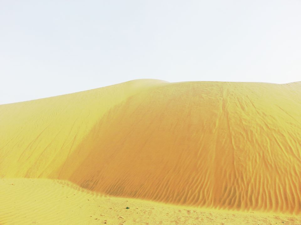 Photo of DESERT NIGHTS in INDIA! by RACHNA SINGH