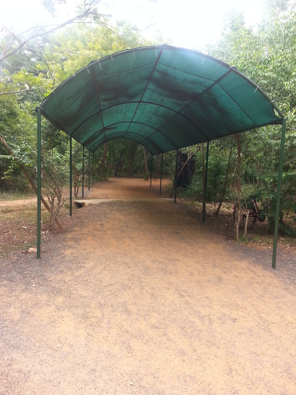 Photo of Temple Road More, Matri Mandir Road, Jayrambati, West Bengal, India by RACHNA SINGH