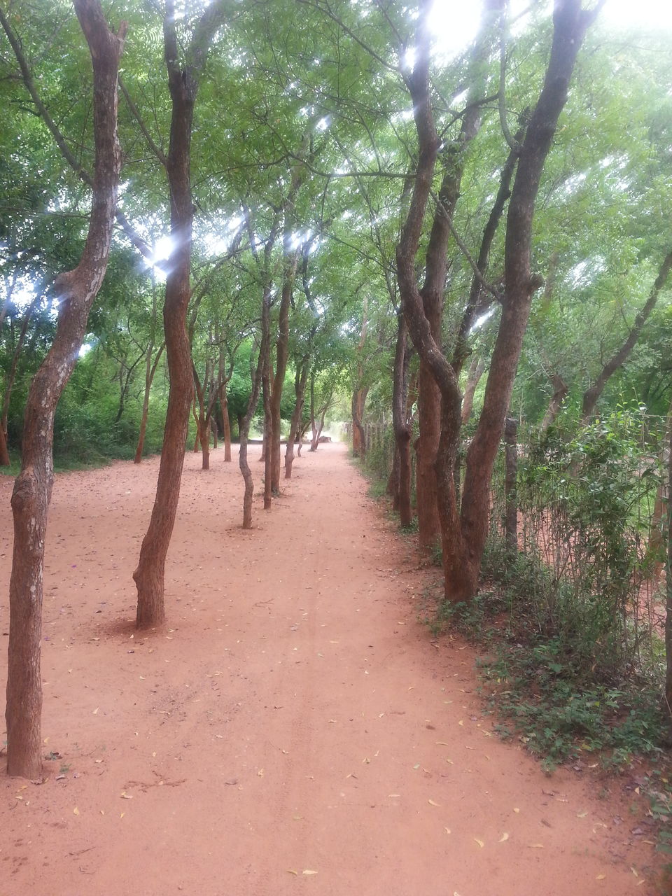 Photo of Temple Road More, Matri Mandir Road, Jayrambati, West Bengal, India by RACHNA SINGH