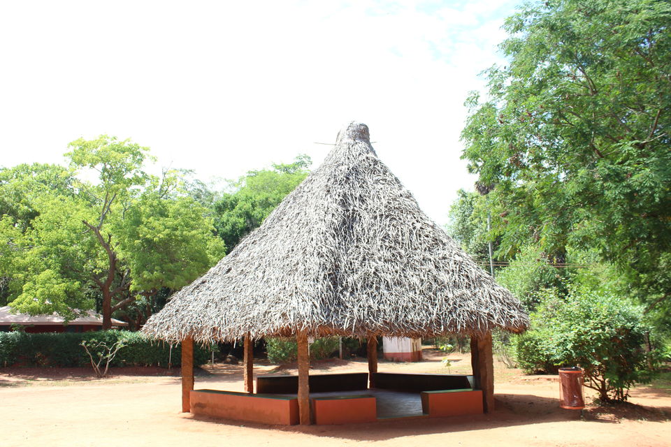 Photo of Temple Road More, Matri Mandir Road, Jayrambati, West Bengal, India by RACHNA SINGH