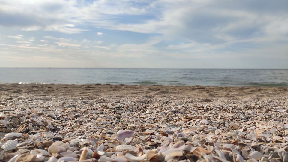 Photo of Why Normandy Is One Of The Most-Loved Destinations In France! by RACHNA SINGH