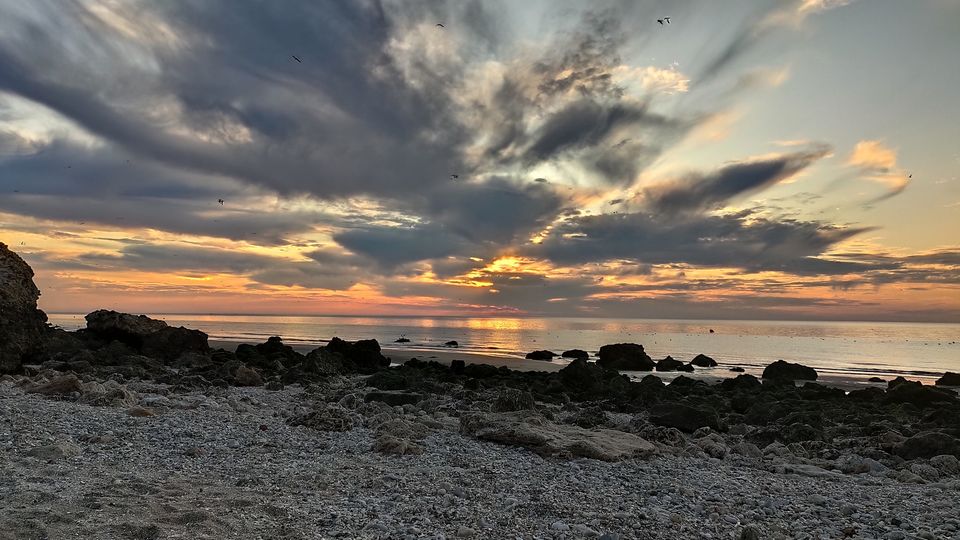 Photo of Why Normandy Is One Of The Most-Loved Destinations In France! by RACHNA SINGH