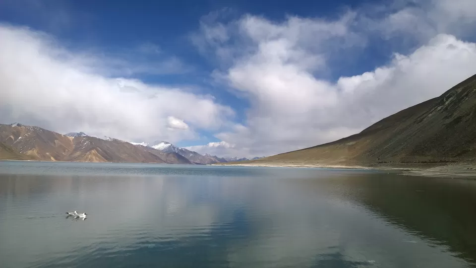 Photo of Pangong Tso by Dipti