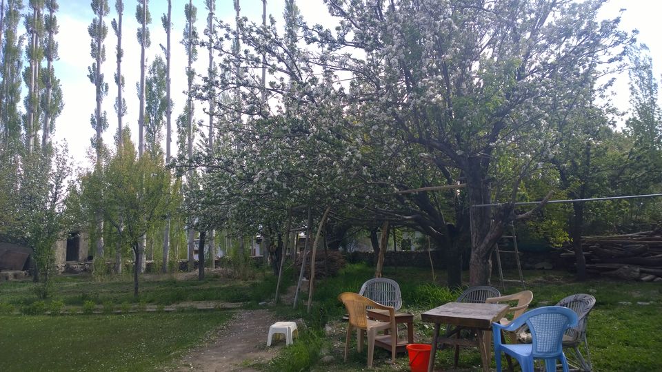 Photo of Leh by Dipti