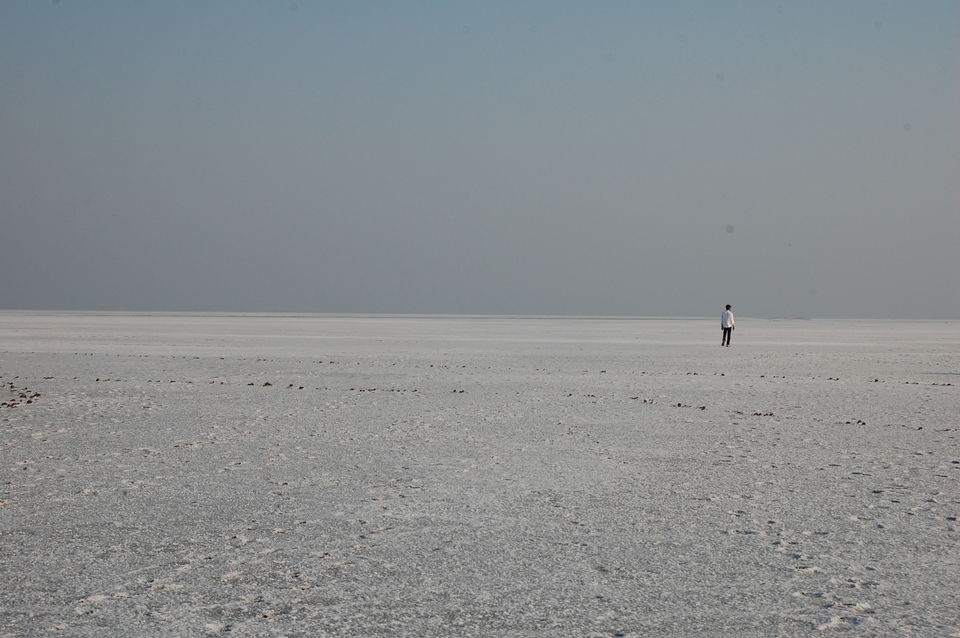 Photo of Tips to Travel Kutch- Land of Diversity by Dipti