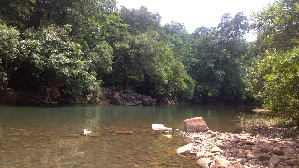 Photo of Bhagwan Mahavir Wildlife Sanctuary, NH 4A, Caranzol, Goa, India by Dipti