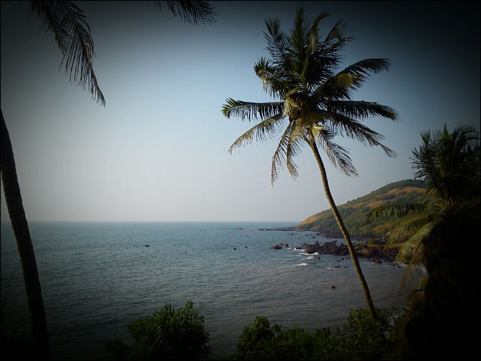 Photo of Go Goa Gone!! by sneha