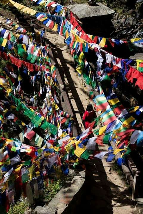 Photo of Thimphu, Bhutan by Swechha Karki