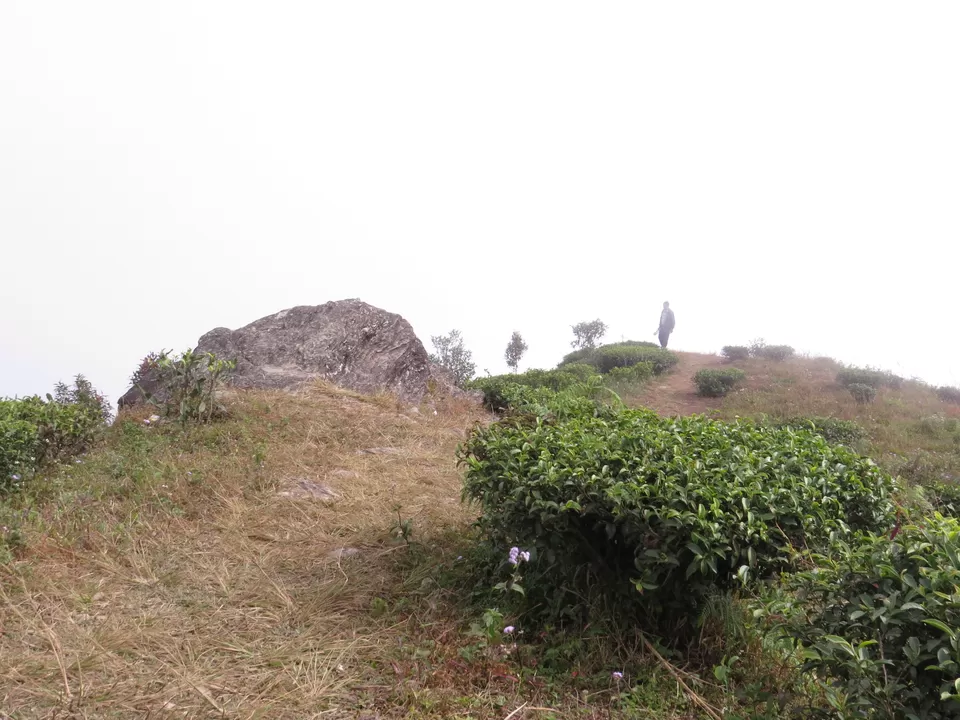 Photo of A Birding Wonderland: Latpanchar by Nisha Bhakat