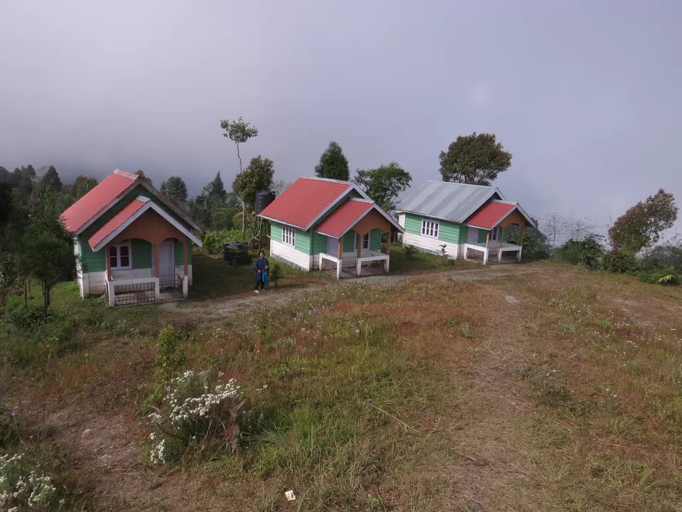 Photo of A Birding Wonderland: Latpanchar by Nisha Bhakat